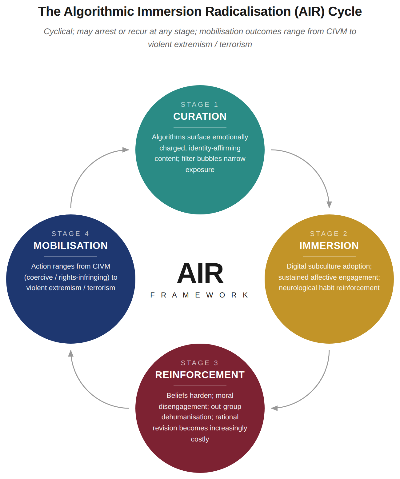 Diagram showing the AIR Cycle: Curation, Immersion, Reinforcement, and Mobilisation.